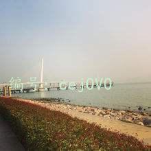 ˫